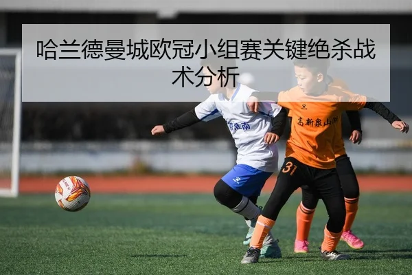 img_1791272302070_780_1_950.jpg